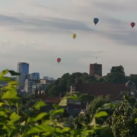 Vokieciu G. 公寓 维尔纽斯