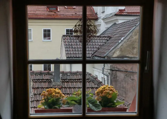 Vokieciu G. Lägenhet